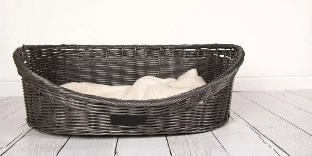 How Can You Choose the Right Outdoor Bed for Your Pet? How Can You Choose the Right Outdoor Bed for Your Pet?